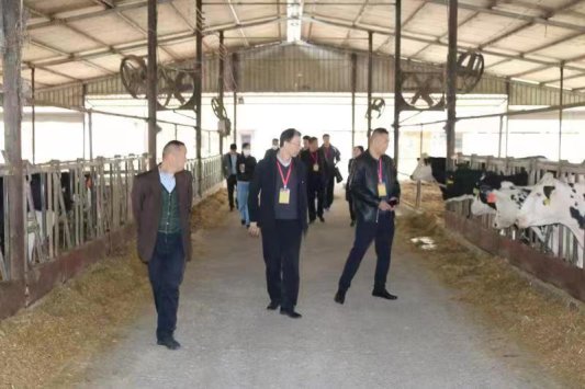 5c917ec7c9dce2ef2d8b73c5e6d5720