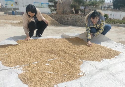 简篇-【山水新城 活力汶源】组织“联姻”  汇聚力量——“同心源、项目圆”