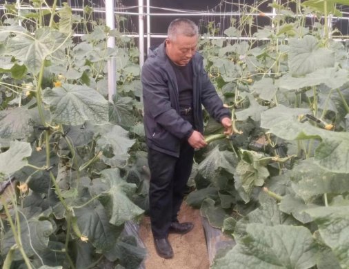 f4aa66b964d1dd9ab8bd64d04fd691e