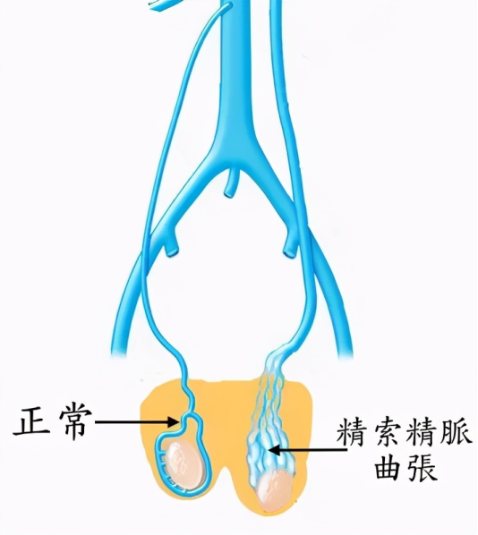 微信图片_20230407163533