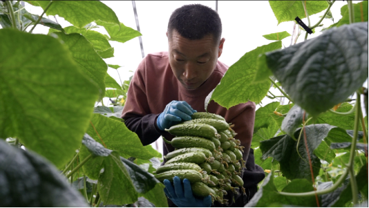 微信图片_20230419113856