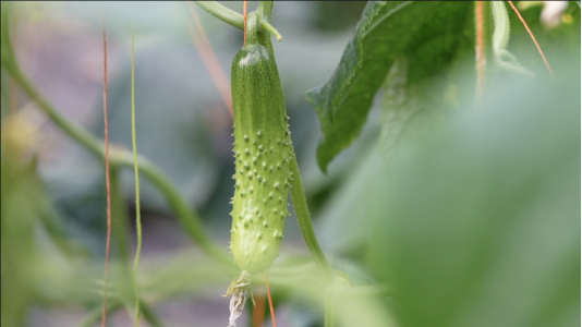 微信图片_20230419113843