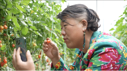 微信图片_20230419113949