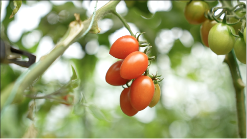 微信图片_20230419113933