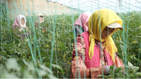 微信图片_20230419113944