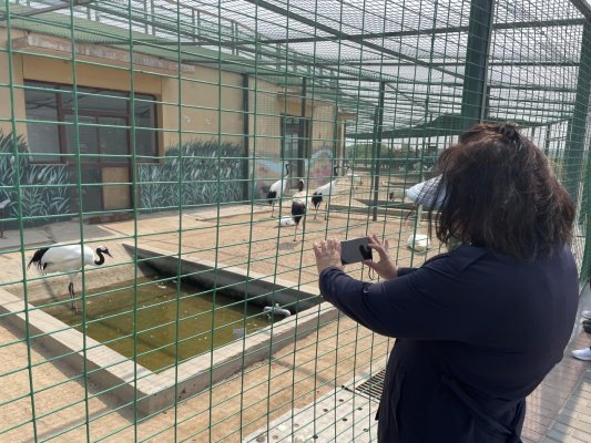 943722bfdd920454a6ec2ed659fc136