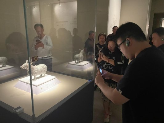 4e26bb1e231a4e508226a13a1c0a23e