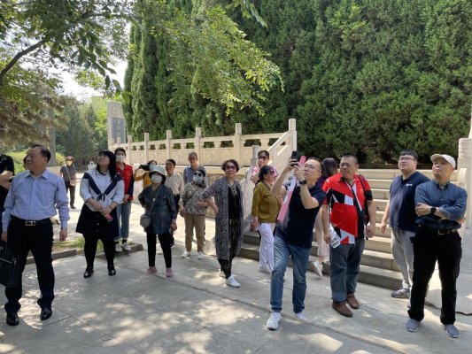 0ad82d37dd92db151e6e1100fef1938