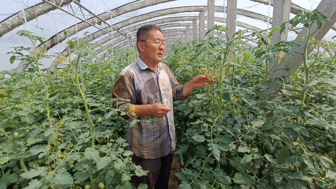 种子的太空“蝶变”!揭秘菏泽籍种子与“航天”的不解之缘