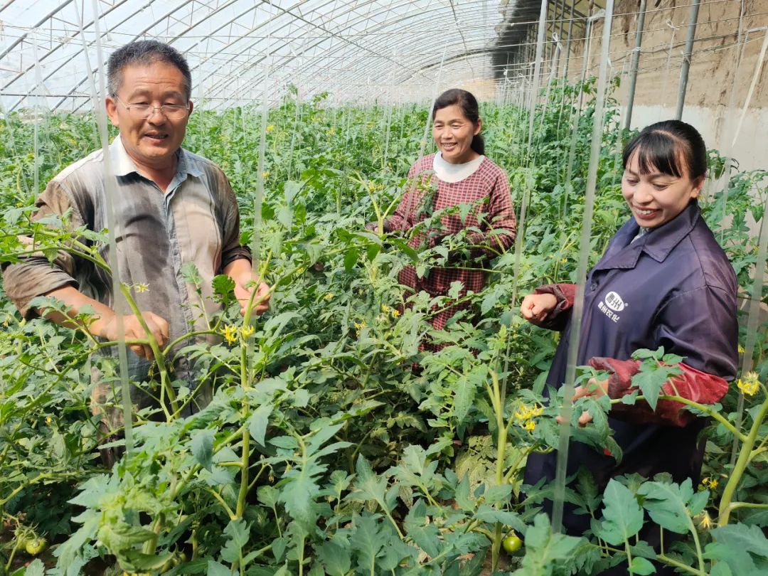 种子的太空“蝶变”!揭秘菏泽籍种子与“航天”的不解之缘