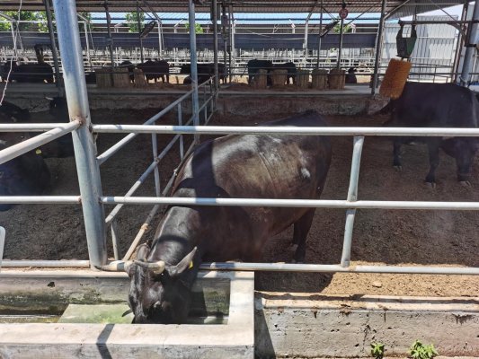 微信图片_20230615144649