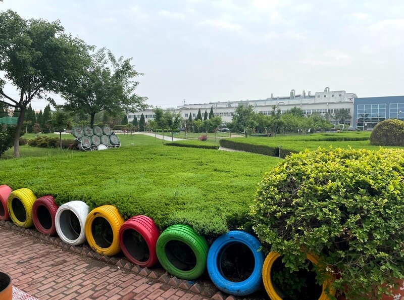 2.赛轮集团厂区绿化