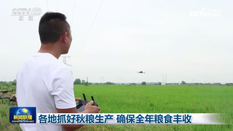 各地抓好秋粮生产 确保全年粮食丰收