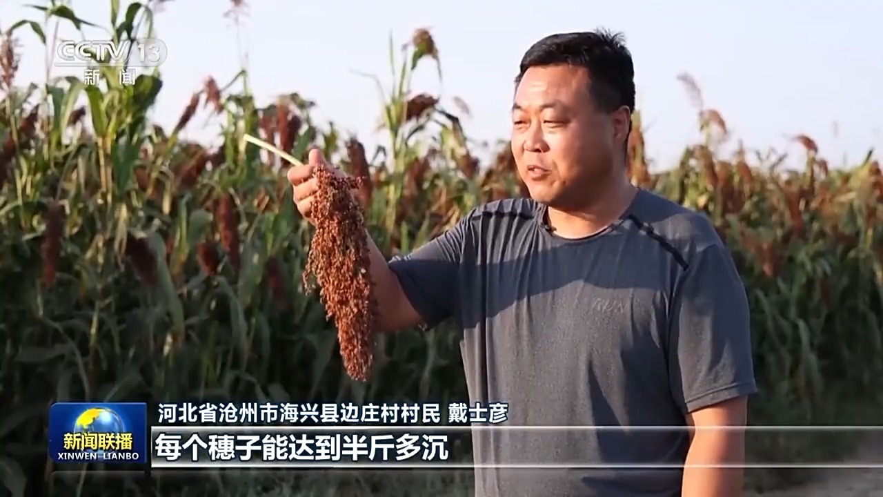 收割好“丰”景 各地陆续开镰确保秋粮颗粒归仓