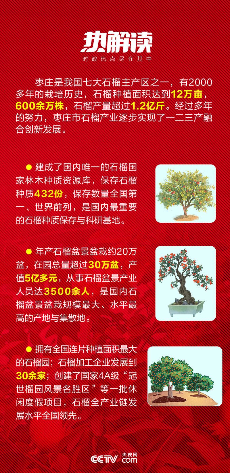 热解读｜火红石榴如何带来红火生活 总书记再谈这篇“大文章”