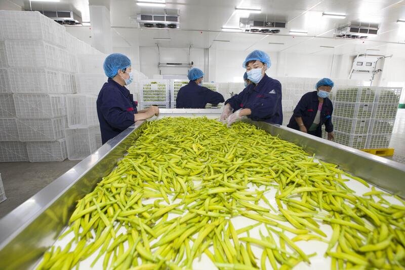 热解读｜火红石榴如何带来红火生活 总书记再谈这篇“大文章”