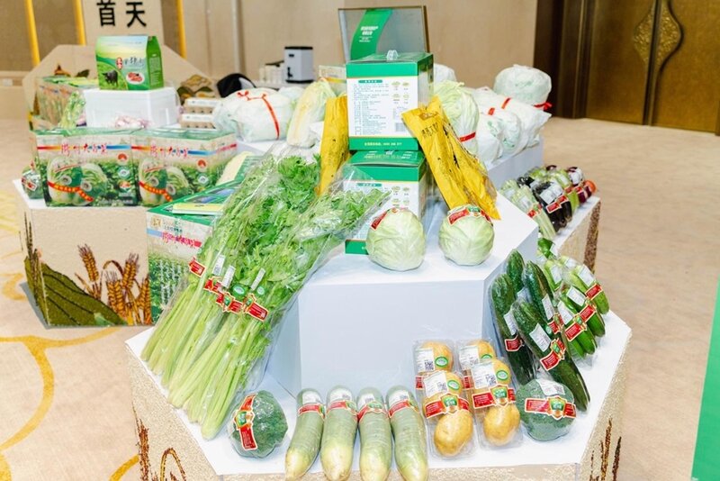 国字号生态食材基地认证首落胶河源 20米乐M6 米乐23上合胶州大白菜国际美食文化节启动(图3)
