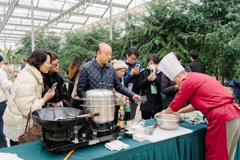 国字号生态食材基地认证首落胶河源 20米乐M6 米乐23上合胶州大白菜国际美食文化节启动(图2)