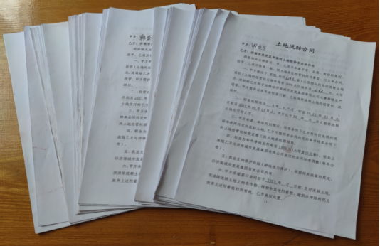 济南市莱芜区口镇街道申陈村：“盘活资源”促发展“腾笼换鸟”谱新篇