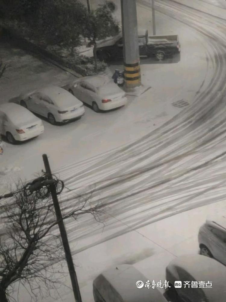 下雪啦！山东多地迎来降雪，白茫茫一片，出行注意安全
