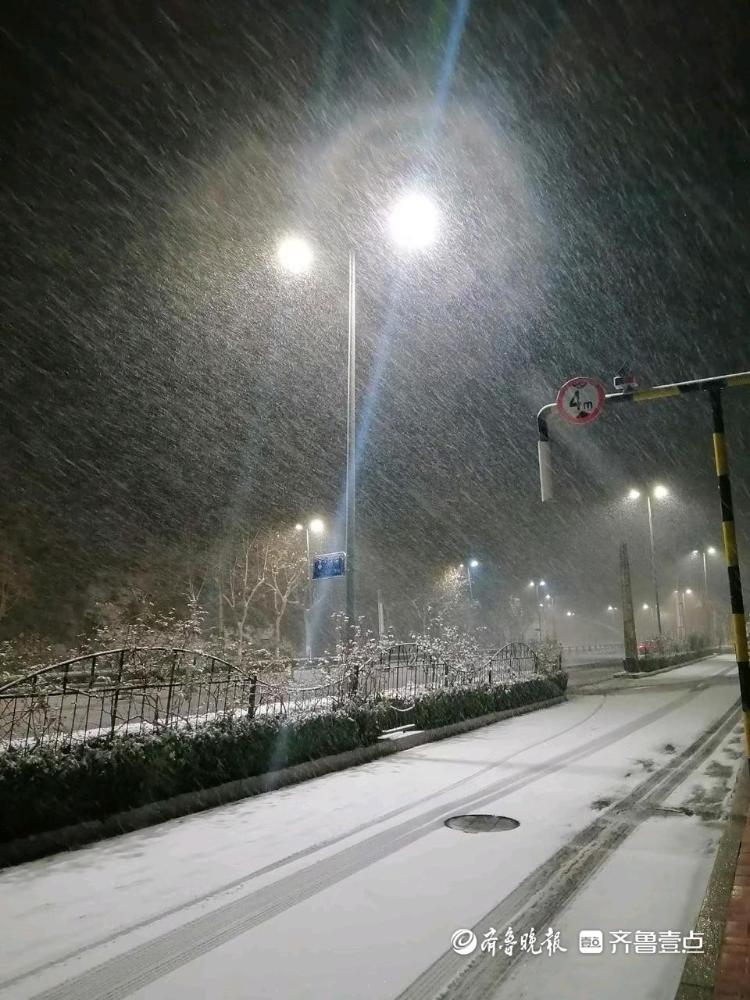 下雪啦！山东多地迎来降雪，白茫茫一片，出行注意安全