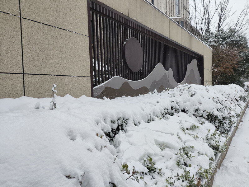 菏泽迎来今冬首场降雪，一组图带你看雪景