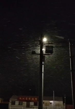 下雪啦！山东多地迎来降雪，白茫茫一片，出行注意安全