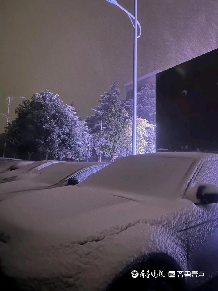 下雪啦！山东多地迎来降雪，白茫茫一片，出行注意安全