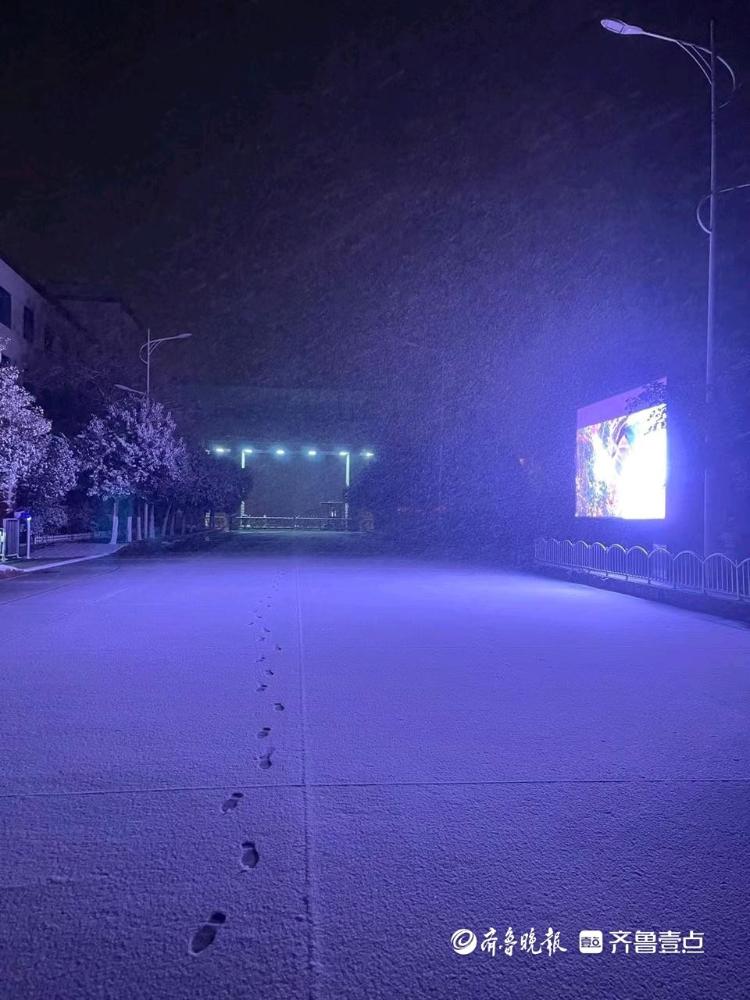 下雪啦！山东多地迎来降雪，白茫茫一片，出行注意安全