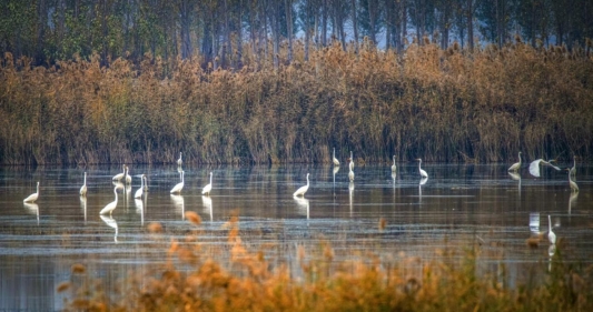 微信图片_202212091442471