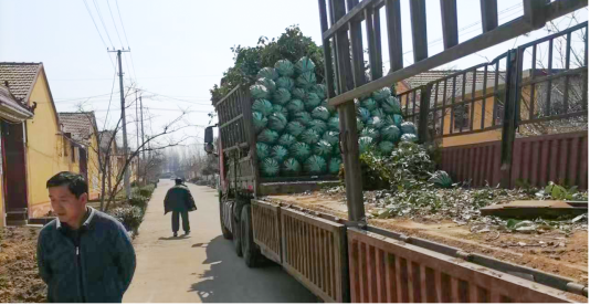 D:/图片3.png图片3