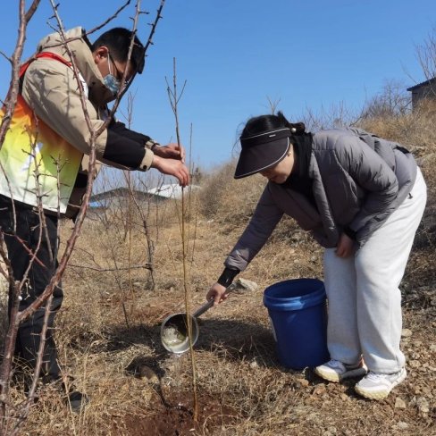 3292e6d107c7aa84609ce64d358106e4