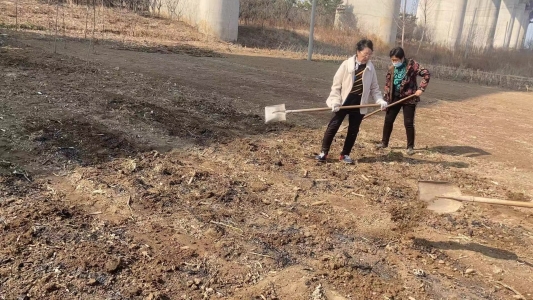 秸秆禁烧法律规定 1y5Ip5-1710404814134.001.jpeg