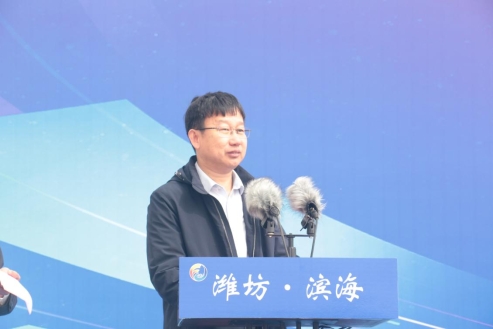 张总5(1)