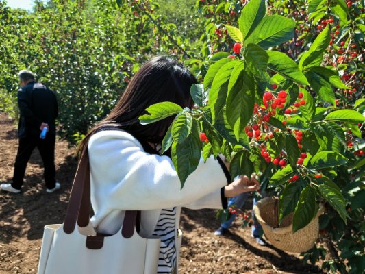 f6d60ff112db89a81607fa4abec835d