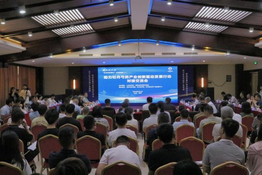 菏泽:牡丹企业120余家,牡丹产业去年产值达到108亿元