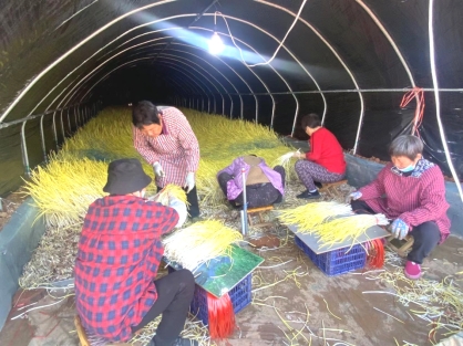 微信图片_20240509150343