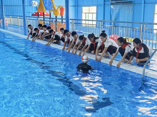 微信图片_20240613143147