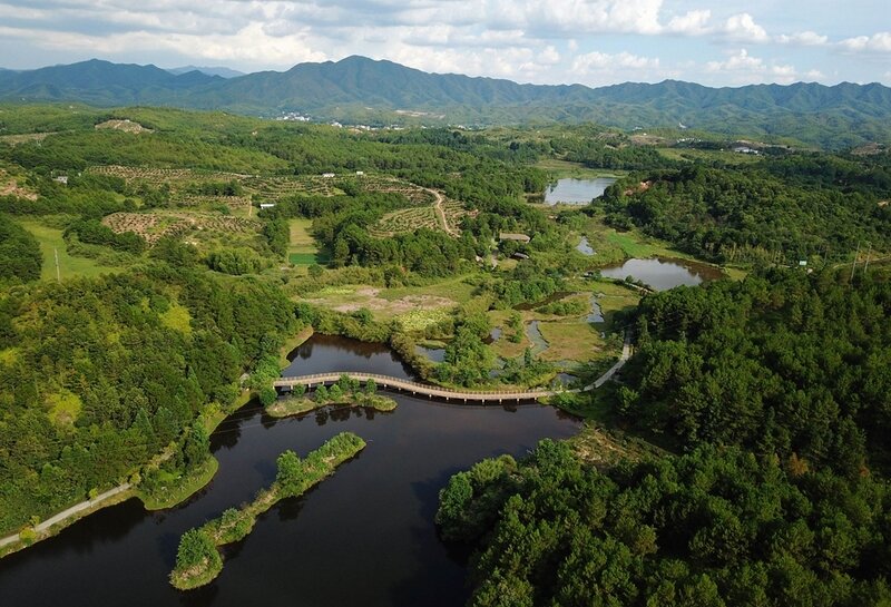 福建省龙岩市长汀县的长汀汀江国家湿地公园景色（2020年7月28日摄，无人机照片）。新华社记者 魏培全 摄