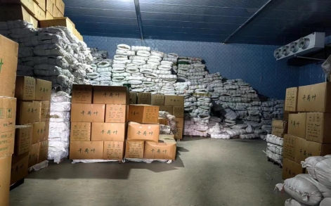 40b8822868e784a137292201ec6fdf4