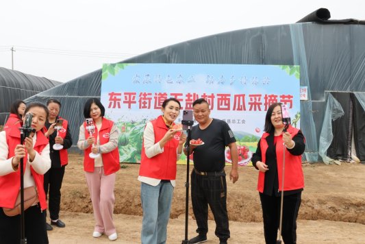 东平街道无盐村西瓜采摘节