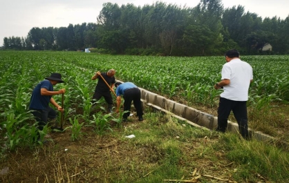 火狐电竞济宁市微山县鲁桥镇：疏通农田水利 为群众秋收保驾护航