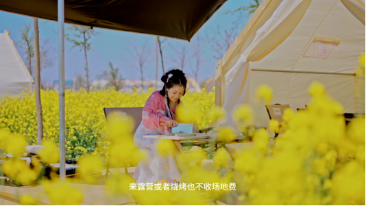 拍摄白鹭园宣传视频,并报送省文旅厅“美美与共”