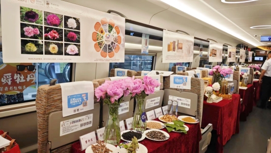 微信图片_20240718092923