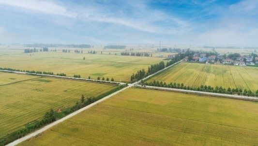 东明县召开“助力打造齐鲁粮仓 护航粮食安全”新闻发布会