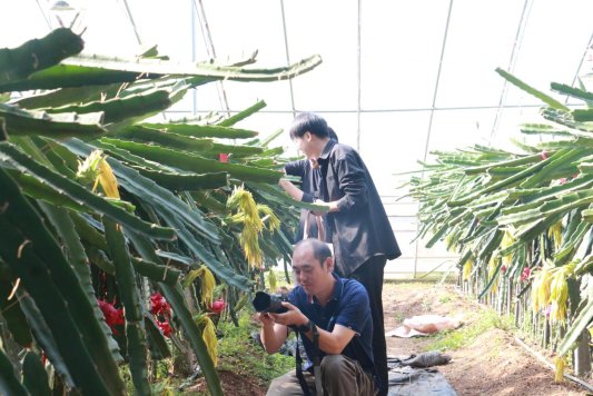 微信图片_20240925153418