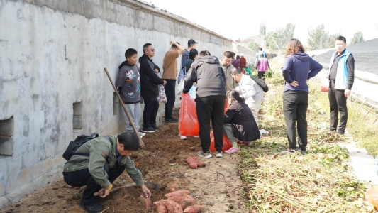 微信图片_20241012151942