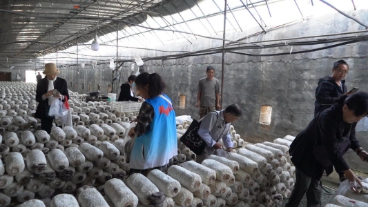 微信图片_20241012152008