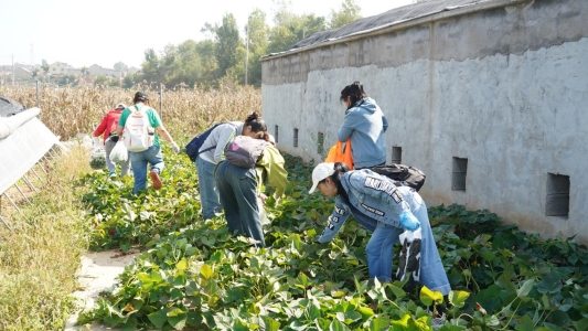 微信图片_20241012151948