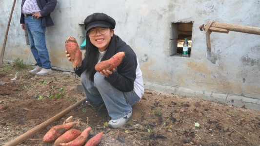 微信图片_20241012152000